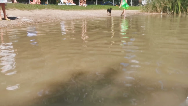 Hozzászólások és értékelések az Keszthelyi Kutyás Park, Piknikkert és Strand-ról