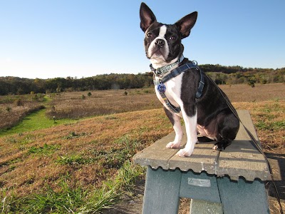 Riverside Natural Area