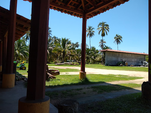Rest. PALMARES - Thumbnail