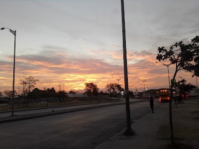 Photos of Ernesto McCausland Park