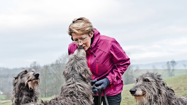 Komplementärmedizin für Tiere - Dr. med. vet. Renée E. Devaux