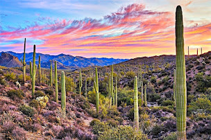 Photo n°18 de Passion Mexique à Bures-sur-Yvette (Agence de voyages)