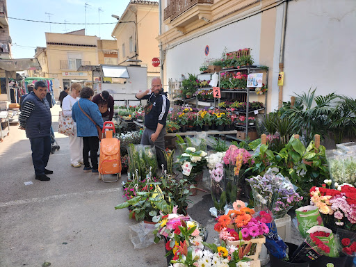Flores Valencia - Thumbnail