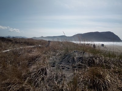 Clatsop State Forest