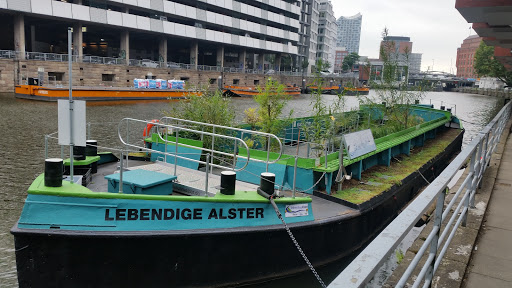 Grüne Schute - Visual