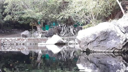 Ojo de Agua "La Huaracha" Gallery - Mexico