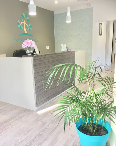 Yandina Dental