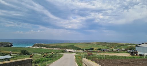Esteiro - Visual