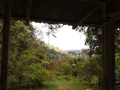 Photos of Bolita Rainforest Hostel