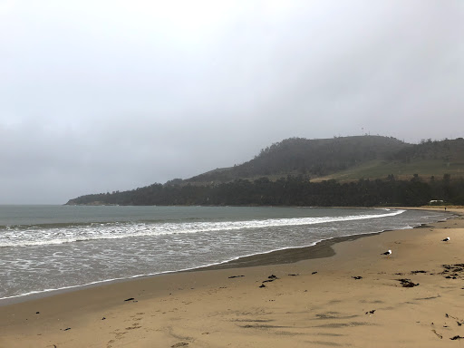 Seven Mile Beach Coastal Reserve - Thumbnail