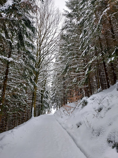 Lutherbrunnen - Thumbnail