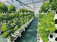 つなぐファーム