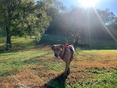 Humane Society of Marion County Arkansas