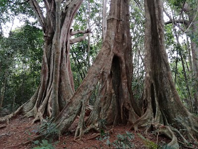 Photos of Mondulkiri Elephant & Wildlife Sanctuary - L.E.A.F Cambodia