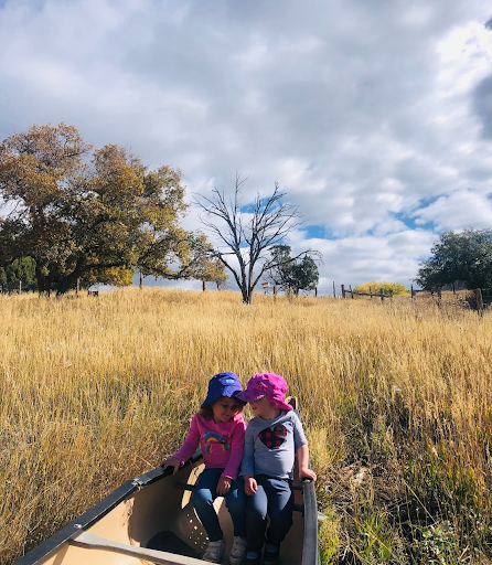 Mancos Valley Dragonfly School - Thumbnail