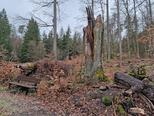 Steinerne Gesellen - Visual