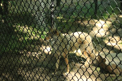 Woodlands Nature Station