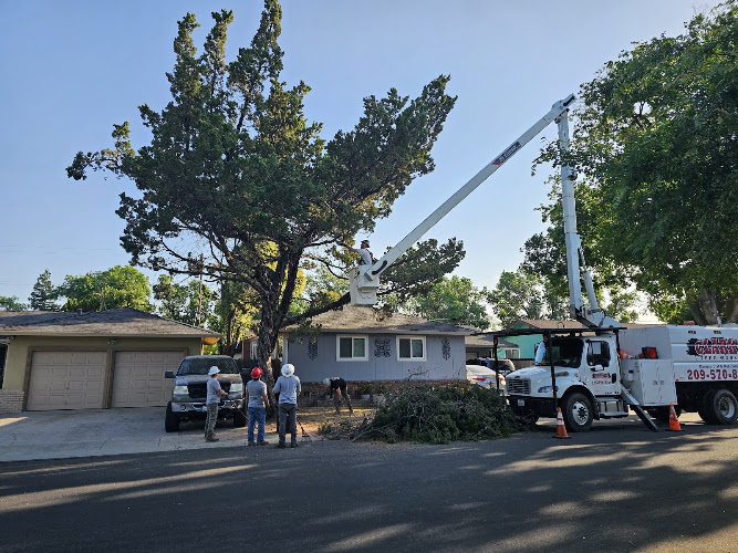 Clark's Tree Works
