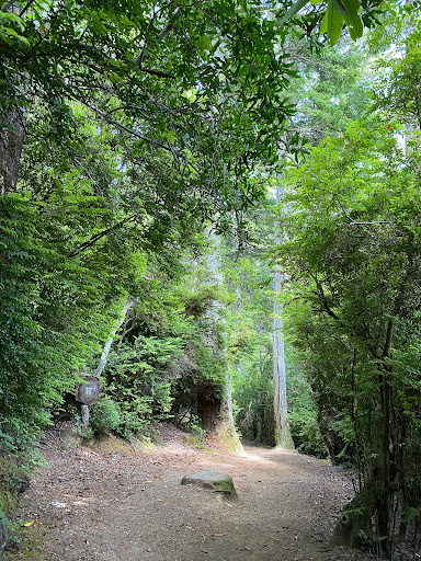 Lake Marie, Umpqua State Park - Thumbnail