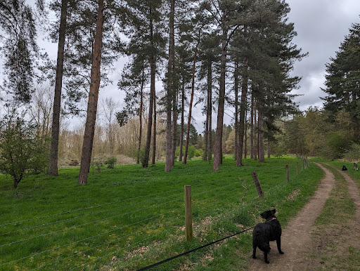 Forest Holidays Thorpe Forest - Thumbnail