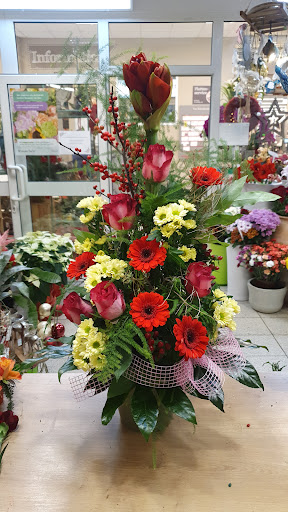 Blumenshop Larissa - Visual