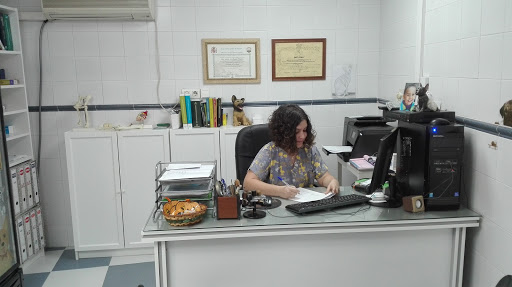 Clínica Veterinaria Pontes - Thumbnail
