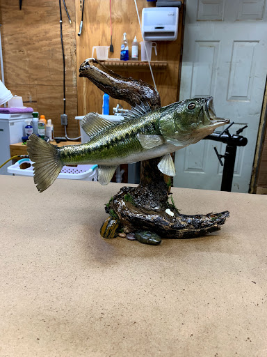 Bayou Belle Taxidermy - Thumbnail