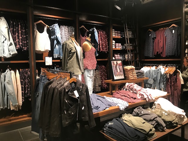 Hollister Co.