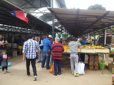 grocery-or-supermarket