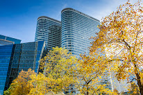 CONSULT IT à Courbevoie