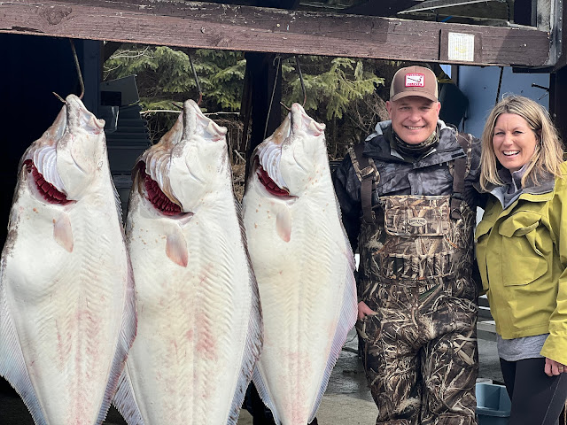 Glacier Bear Lodge Inc by null