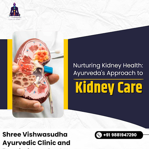 Nurturing Kidney Health with Ayurveda. post image