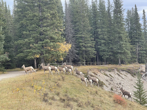Ram Falls Provincial Park Gallery - Canada