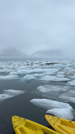 Bear Glacier - Visual