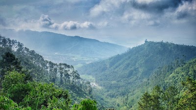 Photos of Bukit Mertelu