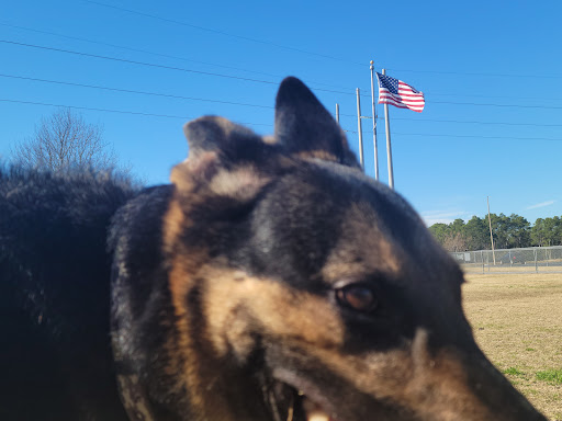 Frank Brown Park Dog Park - Thumbnail