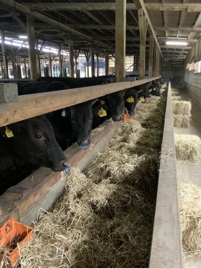 株式会社 柏原牧場 Kashiwabara Ranch Co.,Ltd.