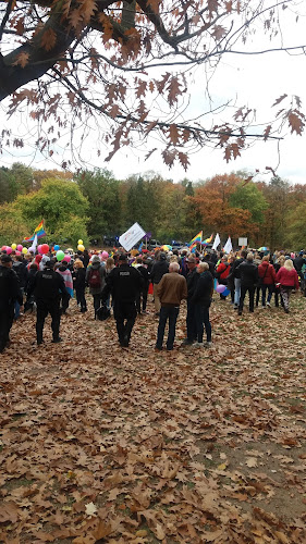 Comentarii opinii despre Zielonogórski Ośrodek Kultury