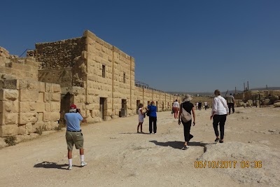 Photos of Grand Palace Amman