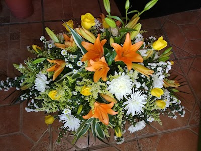 Photos of Florister&iacute;a Karly