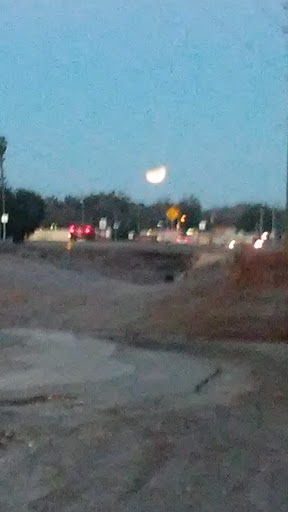 Levy County Transit - Visual