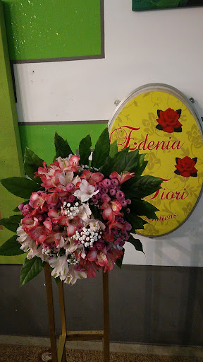 edenia - Visual