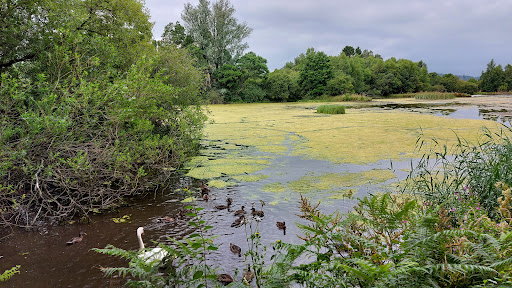 Morton Lochs Car Park - Thumbnail