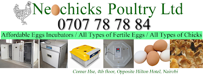 Photos of Neochicks Poultry Limited