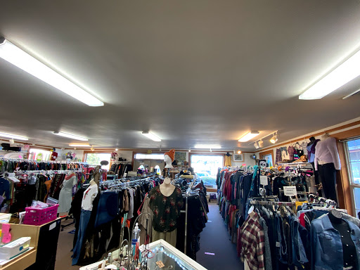 Thrifty Sisters LLC - Thumbnail