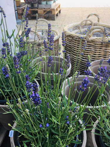 Danmarksgade 30D, 9900 Frederikshavn