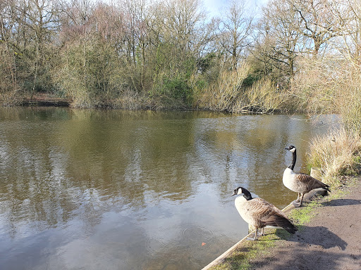 Rush Pond - Thumbnail