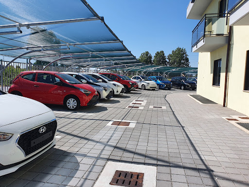 Sicurauto Store - Visual