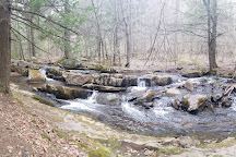 Seven Tubs Recreation Area, Wilkes-Barre, United States