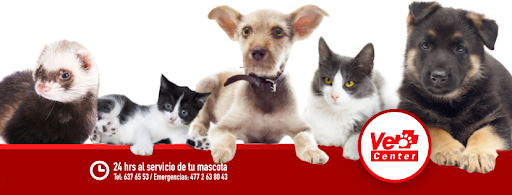 Vet Center León